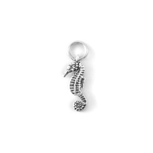 SEAHORSE: CH1271
