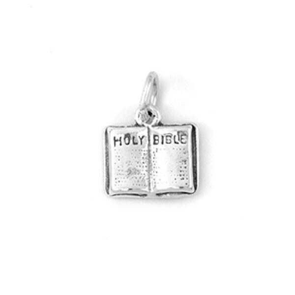HOLY BIBLE OPEN: CH204