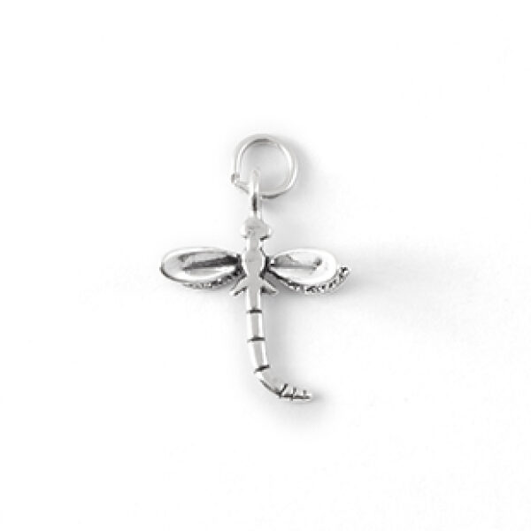 SM. DRAGONFLY: CH3822