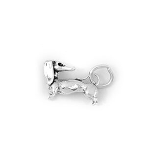 DACHSHUND dog: CH405