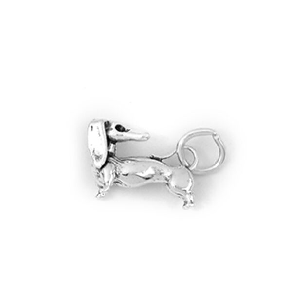 DACHSHUND dog: CH405