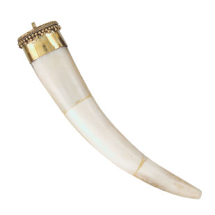 White Horn