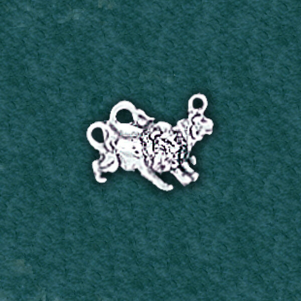 Lions: C12002-E