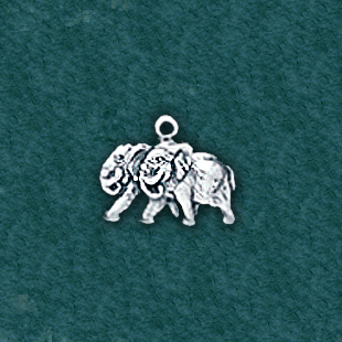 Elephants: C12008-E