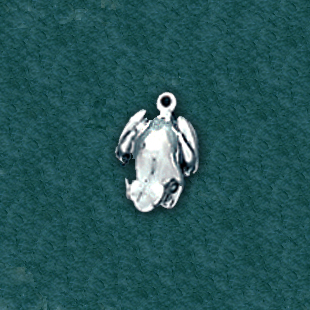 Frog: C12098-E