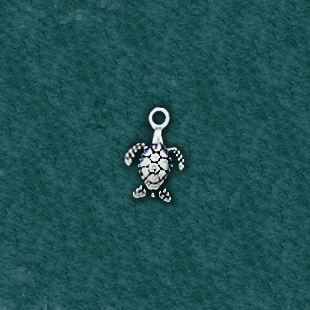 Turtle: C18456-B