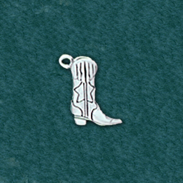Cowboy Boot: C19598-EE