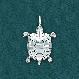Turtle: C3387-H