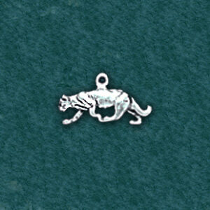 Lion: C5036-D