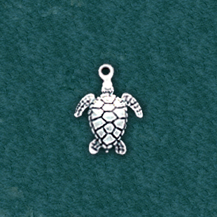 Turtle: C5250-D
