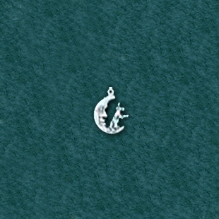 Cow Jumped Over the Moon: C9684-EE