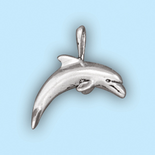 Dolphin: LP35