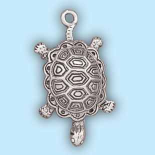 Large Turtle: SC 329