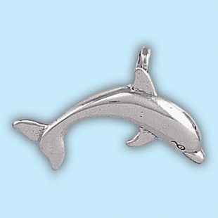 Large Dolphin: LP2500