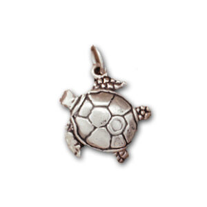 Turtle: LP2884
