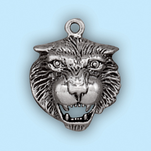 Tiger Head: LP894