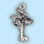Cypress Tree: SC 563